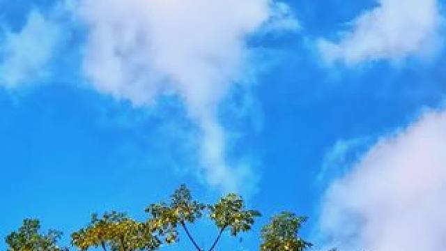 #身边的风景 #随手拍