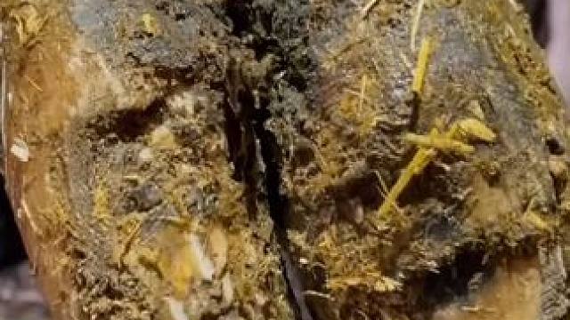 切开三层又是三层，牛蹄界的分层大王削起来就是解压#解压#修牛蹄