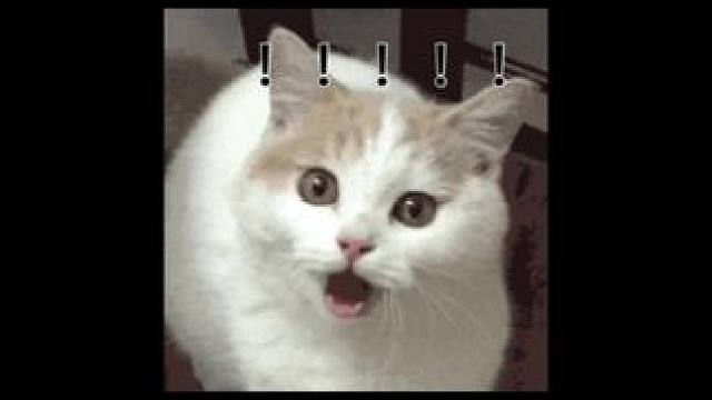 今年送给爸妈的年前礼物就决定是他了！：#张学友南昌演唱会 #张学友来南昌了#六十多岁的张学友风采不减