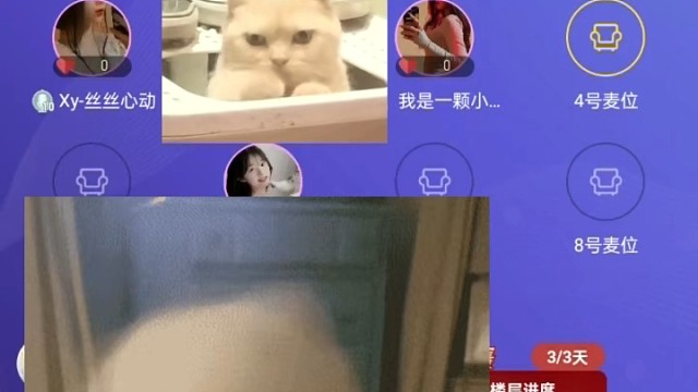 夜深人静，在睡着的时候惊喜慢慢到来哈哈