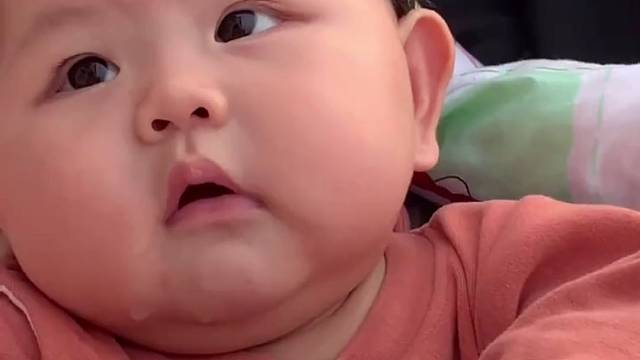 #今日份小可爱已上线