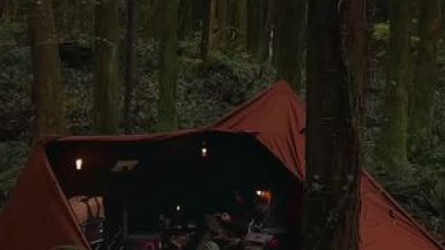 密林之中#露营报告