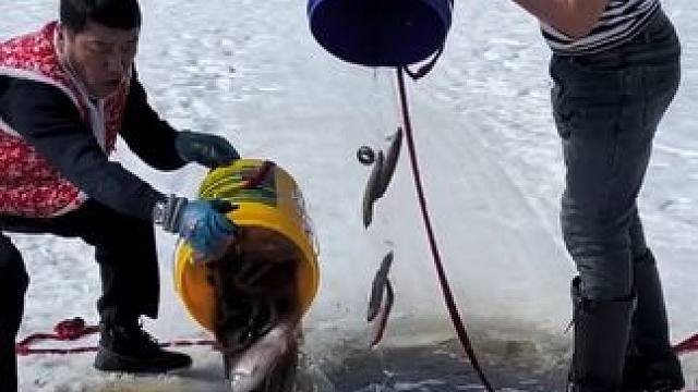 #户外捕鱼 #好多鱼