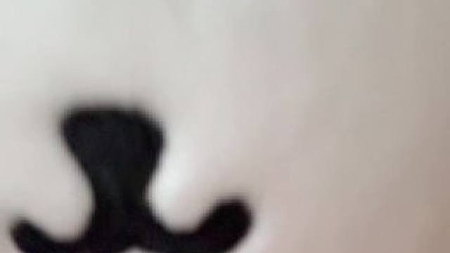 #女高 #萌物 #08#自嘲熊 熊 太萌了。