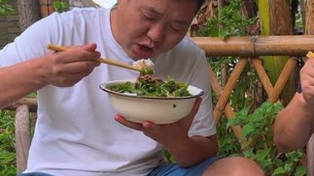 新农人计划2024~