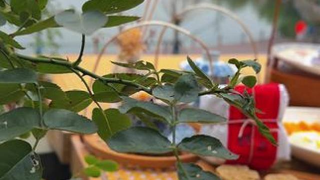 这里不是江南，这里是开封#开封美食 #开封#怎么能不期待来开封旅行呢 #偷得浮生半日闲 #开封游玩攻