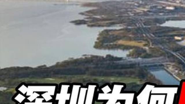 深圳即将成为首座“无人城市”，发生了什么？打工人将何去何从？ #科技发展 #人工智能 #城市建设