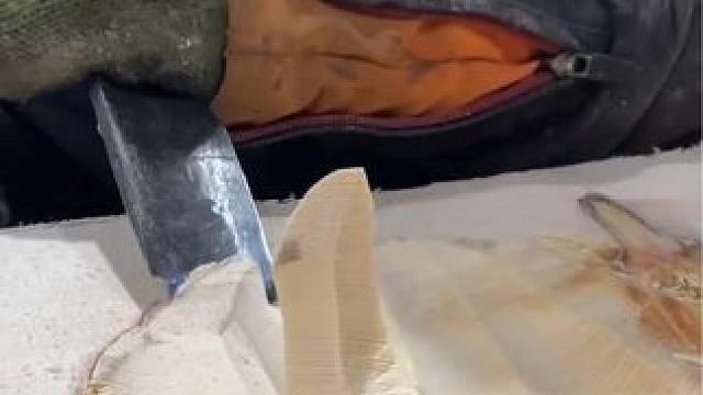 木头屋顶的木材加工。 #解压视频 #强迫症看了很享受 #男人减速带 #木工diy #极度舒适