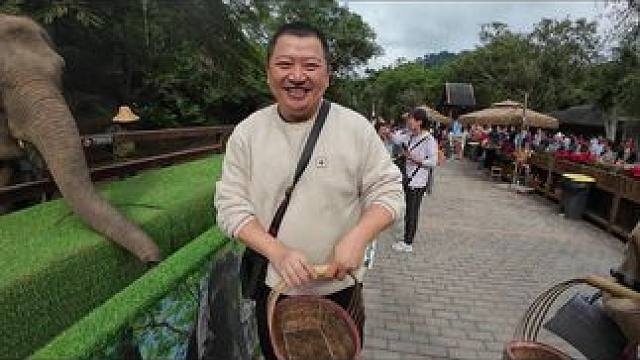 遇到比我更能吃的了 #西双版纳 #大象 #bbc