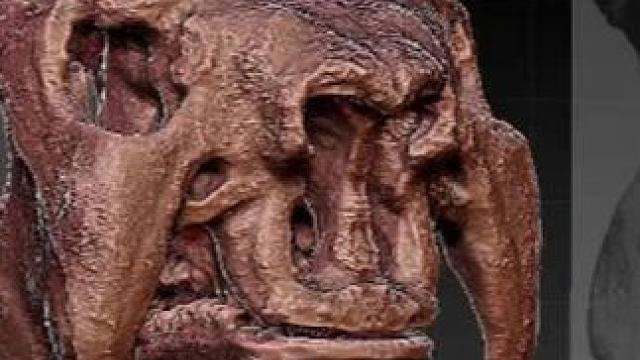 槌棒追尾星尾兽