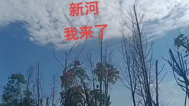 学车   考驾照