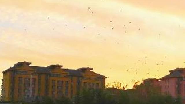 #七彩祥云有好运