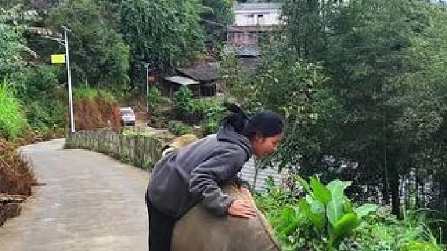 骑牛啦#记录我的乡村生活 #田园生活 #放牛的生活