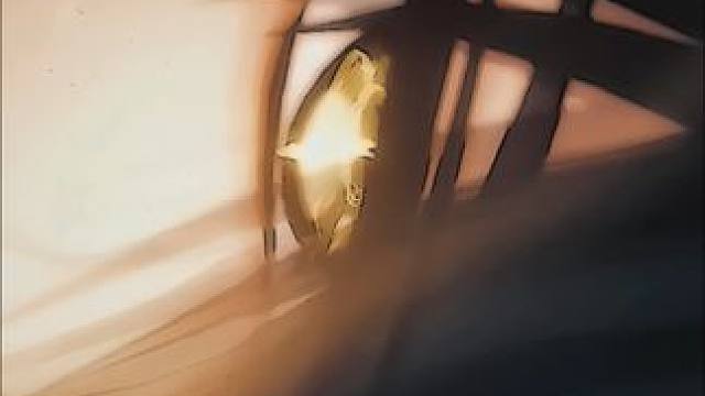 每一双眼睛都讲述着自己的故事#鸣潮 #鸣潮混剪 #鸣潮椿 #前方到站黎那汐塔 #潮起鸣歌唤远航