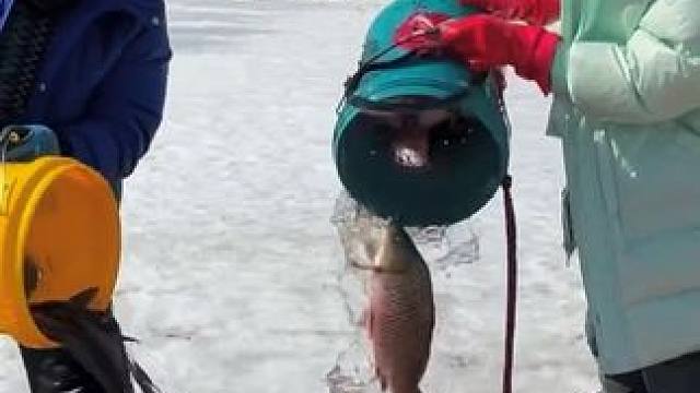 #户外捕鱼 #好多鱼