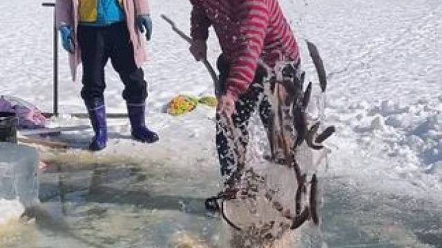 #户外捕鱼 #好多鱼