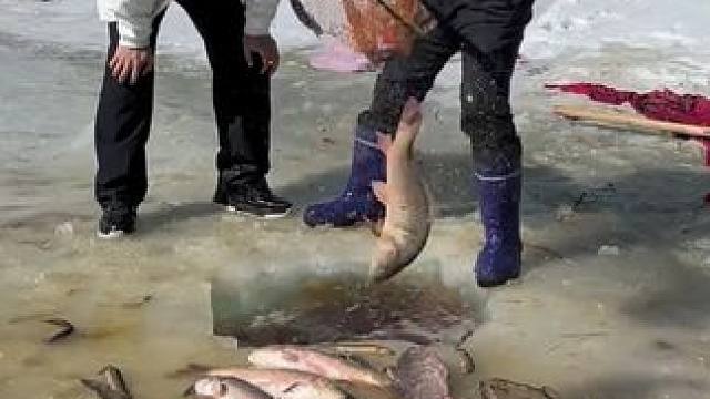 #户外捕鱼 #好多鱼