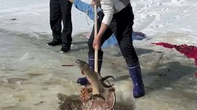 #户外捕鱼 #好多鱼