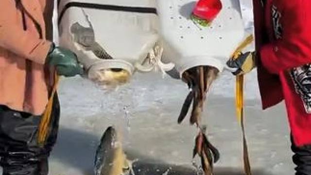 #户外捕鱼 #好多鱼