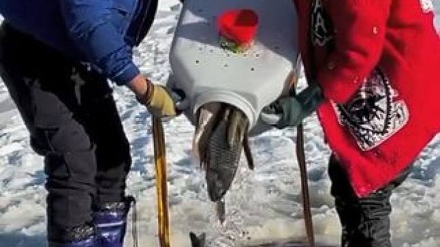 #户外捕鱼 #好多鱼