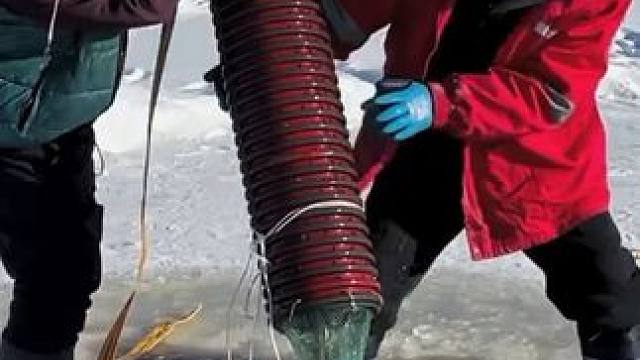 #户外捕鱼 #好多鱼