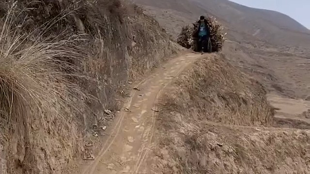 速度与激情[捂脸]