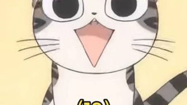 奶猫贪玩，差点把自己给搞没了。 #甜甜私房猫 #治愈 #可爱