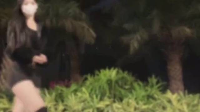 有日子没看到鹅步了，文艺复兴了？