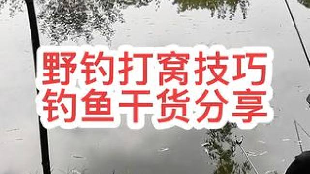 野钓打窝 野钓打窝#野钓打窝 #打窝技巧 #打窝饵料 #打窝 #钓鱼技巧