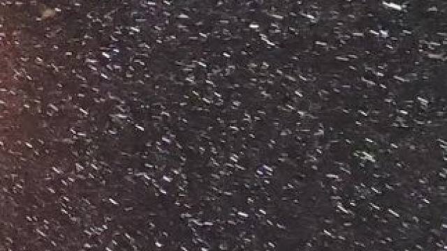 #想和你一起看雪  威海 #初雪 超级想你#大雪又起你不在