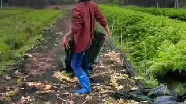 山卡卡里的农村大姐学费了开直播每天收获满满满您还在恐播怕播不敢开播开播了不知说什么吗#记录真实生活 