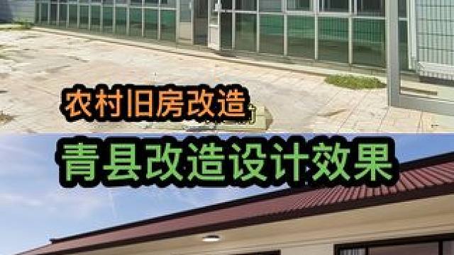 农村旧房改造 河北沧州青县农村旧房改造设计效果#旧房改造#农村自建房