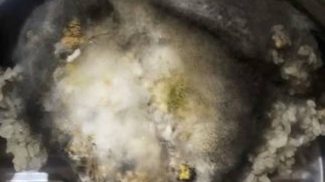 兄弟们也是吃上了哈 味道好极了