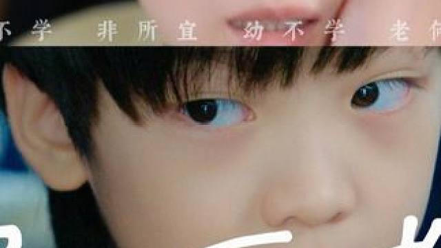 #子不教 #子不教大结局 #子不教后续 #九州短剧 #因为一个片段看了整部剧