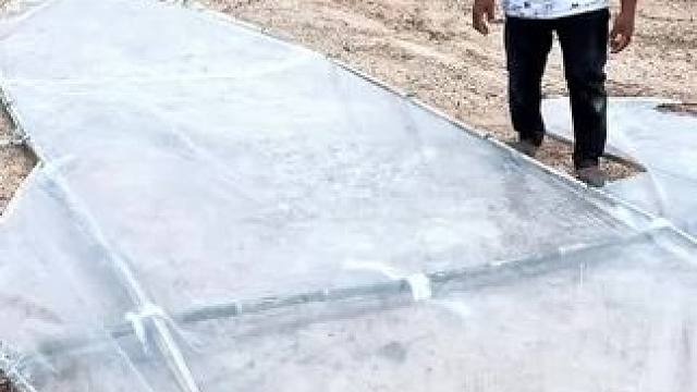 放风筝 #放风筝 #一起放风筝 #放风筝的季节