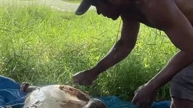 东南亚原始美味 #原始美味 #东南亚美食 #民族特色美食