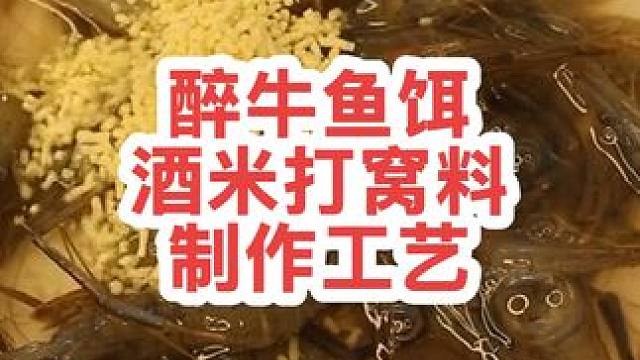 这款鱼饵绝对牛逼！醉牛酒米制作工艺，钓鱼打窝超诱鱼 #鱼饵制作 #饵料 #诱饵 #自制饵料 #酒米窝