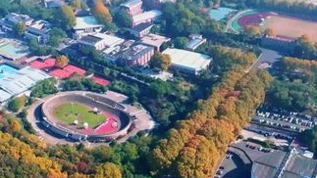 秋日的南体校园自带浪漫诗意氛围