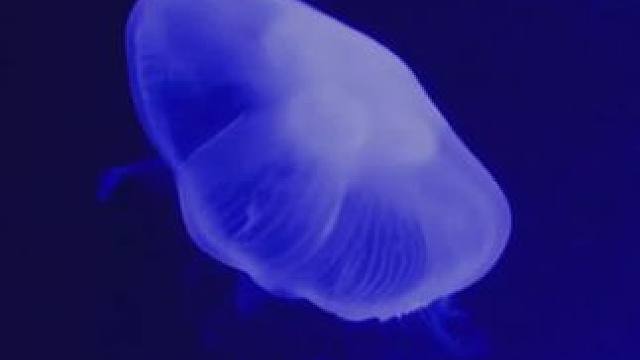 爱的就是你by崔十八 #爱的就是你崔十八版 #崔十八 #甜甜的恋爱