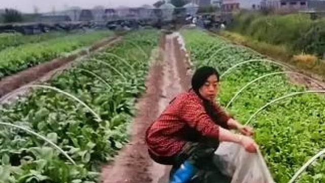 山卡卡里的农村大姐学费了开直播每天收获满满您还在恐播怕播不敢开播开播了不知说什么吗#记录真实生活 #