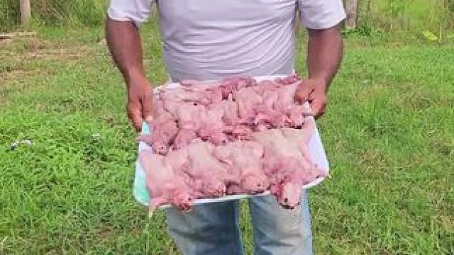 东南亚原始美味 #油炸田鼠 #田鼠 #农村美食#奇特美食大搜罗