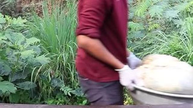 东南亚原始美味 #原始美味 #东南亚美食 #民族特色美食