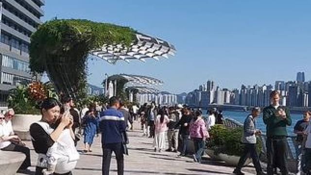 再访香港 #维多利亚美景图片