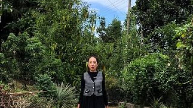 这个饭团有没有宝贝吃过 嘻嘻 #饭团#黄鳝#地方特色美食#双凤