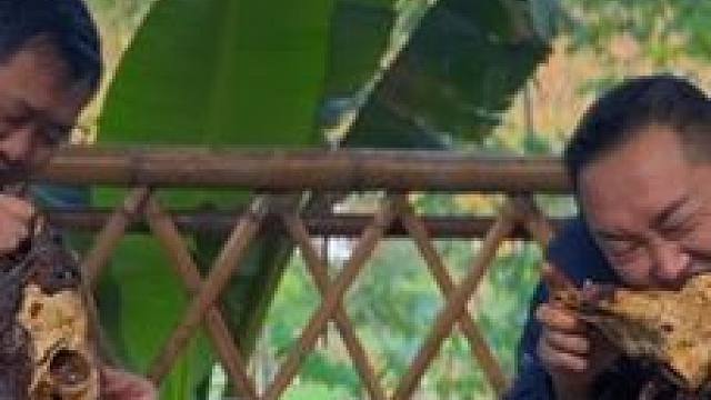 新农人计划2024~