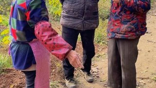 村里的风景，虽平淡，但耐看。也许生活并不便利，却最温暖的治愈。长大后才明白，平凡无奇的小村里藏着最惬