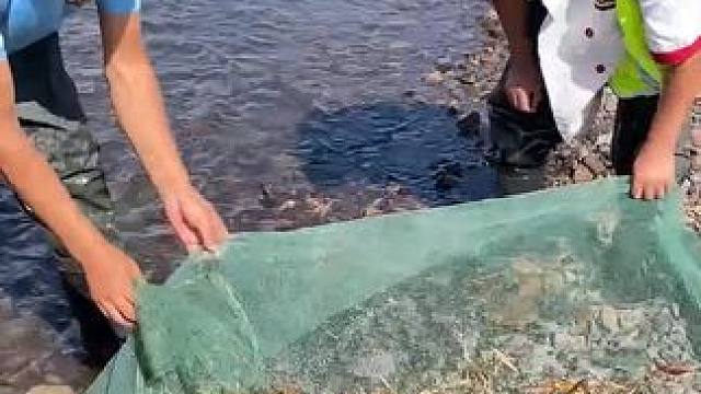 #户外捕鱼 #好多鱼