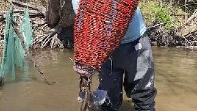 #户外捕鱼 #好多鱼