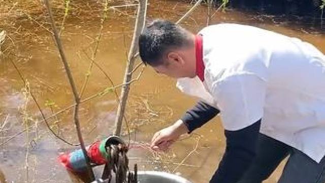 #户外捕鱼 #好多鱼