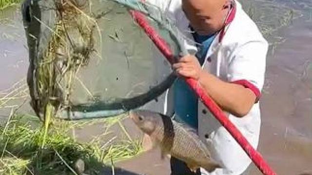 #户外捕鱼 #好大一条鱼